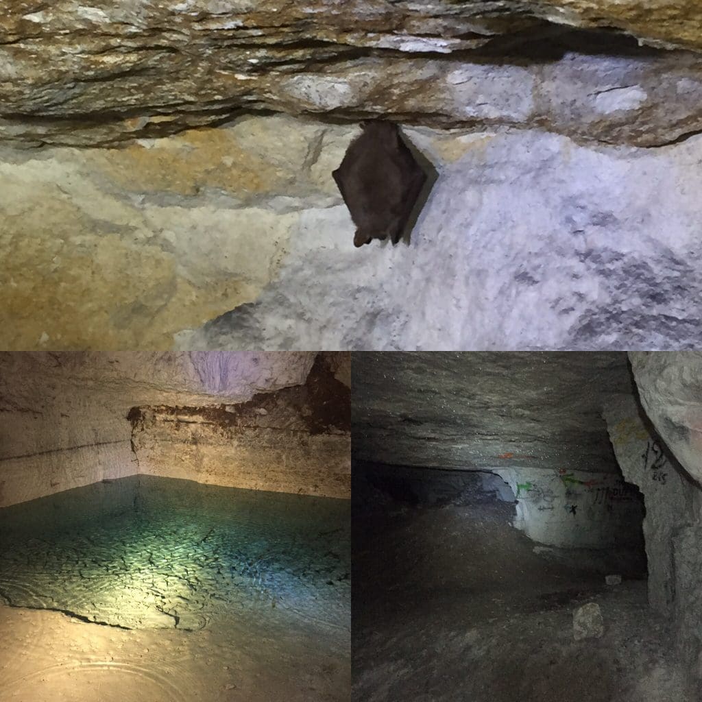 cave