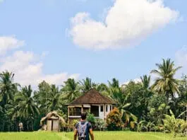 Bali cosa vedere e fare ad Ubud e Seminyak