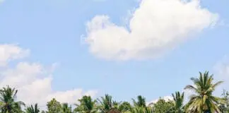 Bali cosa vedere e fare ad Ubud e Seminyak