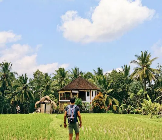 Bali Cosa Fare, Vedere e Mangiare ad Ubud e Seminyak in Quattro Giorni Bali cosa vedere e fare ad Ubud e Seminyak