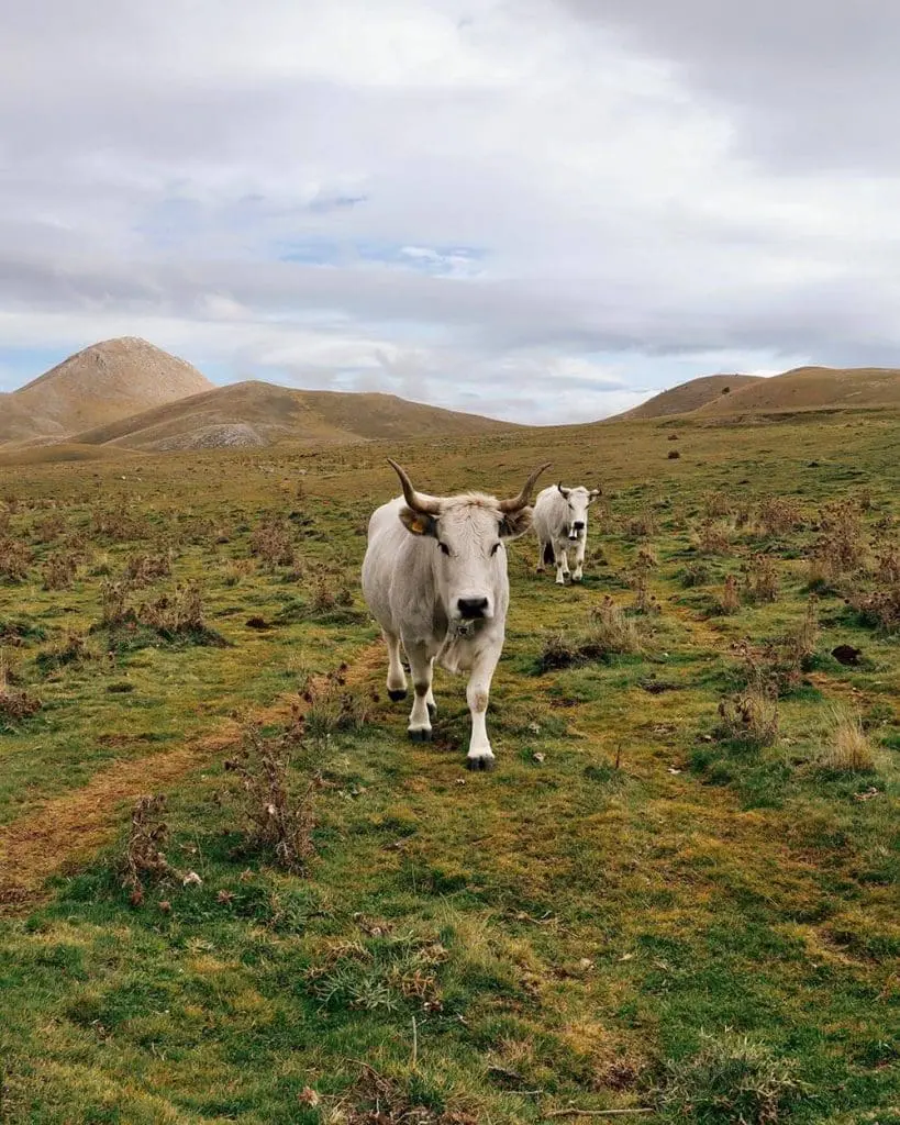 Campo Imperatore in Abruzzo