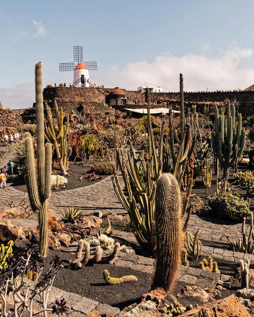 Jardin de Cactus