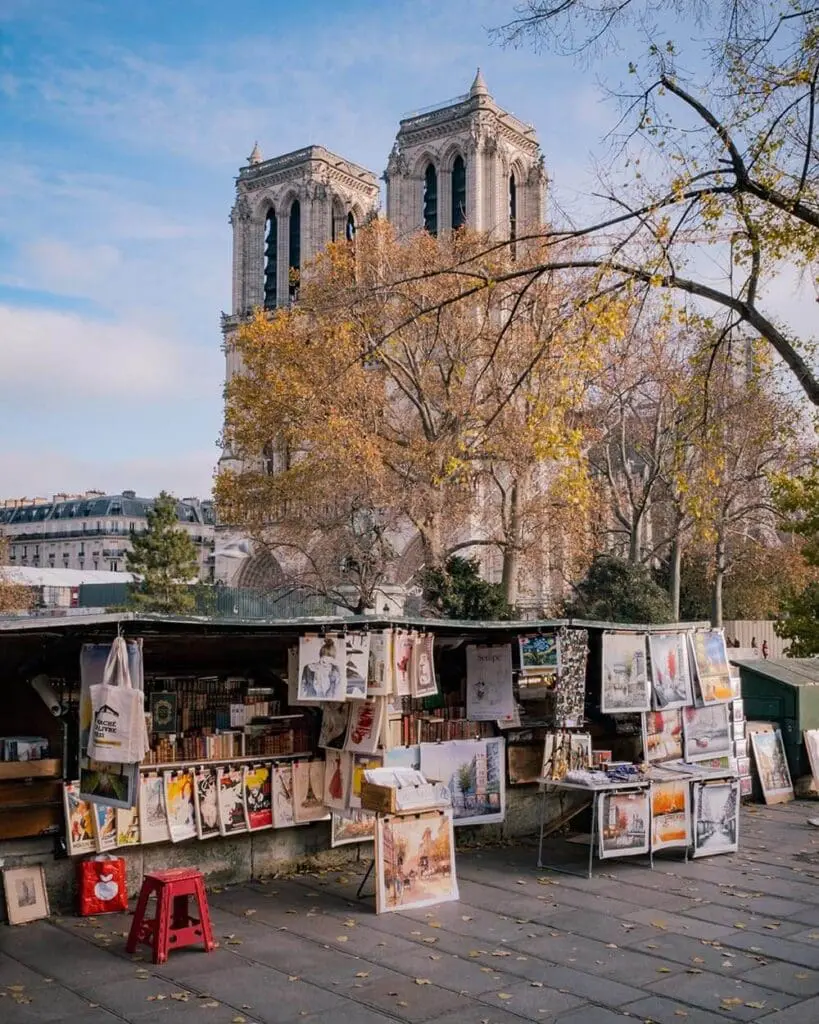 Cattedrale di Notre Dame Parigi