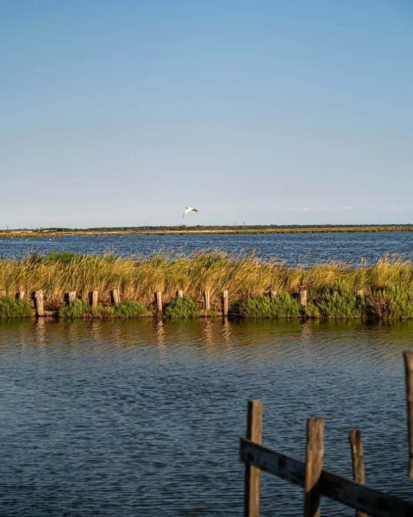 Valli di Comacchio escursioni