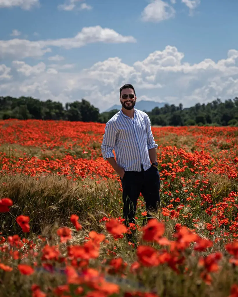 Un campo di Papaveri a Caprarola