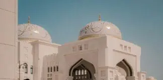 Profumi Maschili per Eventi Speciali