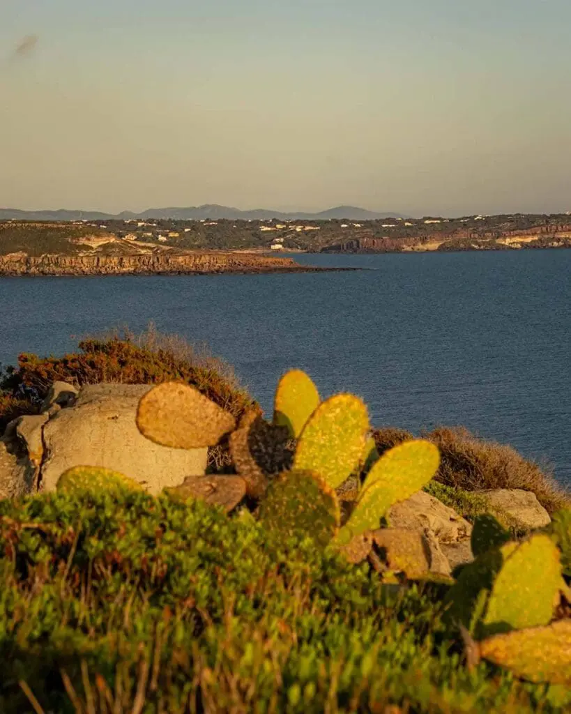 Tramonto capo sandalo