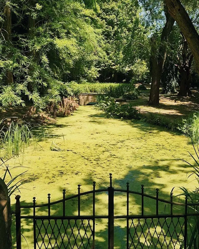 Ecoparco Olmo di Guastalla