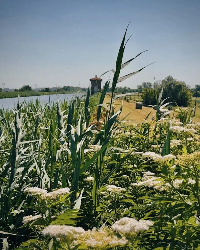 Trekking Sentiero CAI 608