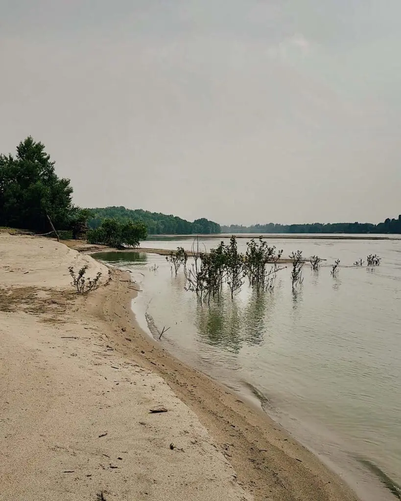 Esplorazione fiume PO in barca