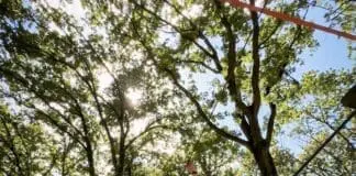 Reggio Emilia Cosa Fare in 2 giorni tutte le attività all'aperto