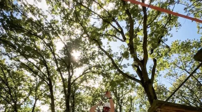 Reggio Emilia Cosa Fare in Due Giorni: Le Migliori Attività all’Aperto Reggio Emilia Cosa Fare in 2 giorni tutte le attività all'aperto