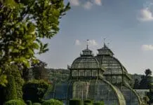 Viaggiare in treno da Roma a Vienna e Monaco di Baviera con il nuovo treno