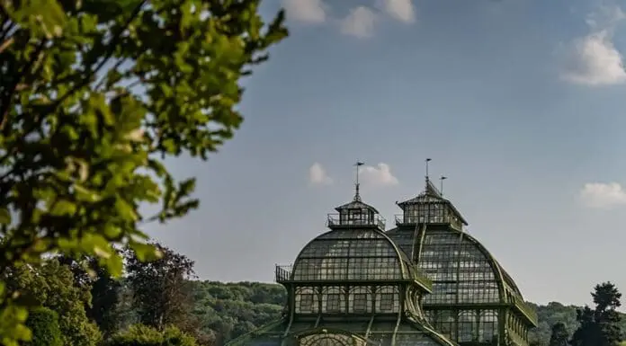 Viaggiare in treno da Roma a Vienna e Monaco di Baviera con il nuovo treno
