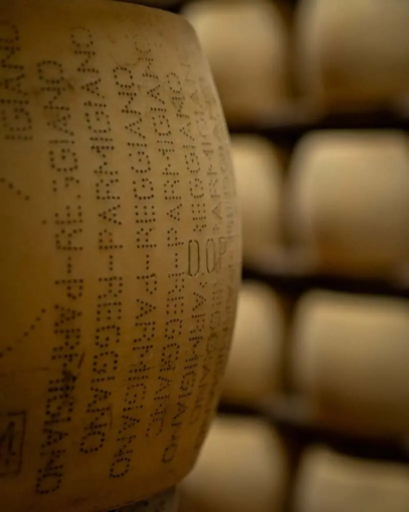 Visita Caseificio Parmiggiano Reggiano DOP