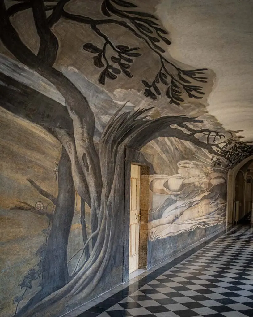 Anamorfosi Convento Trinità dei Monti San Francesco di Paola