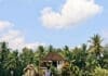 Bali cosa vedere e fare ad Ubud e Seminyak