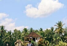 Bali Cosa Fare, Vedere e Mangiare ad Ubud e Seminyak in Quattro Giorni Bali cosa vedere e fare ad Ubud e Seminyak