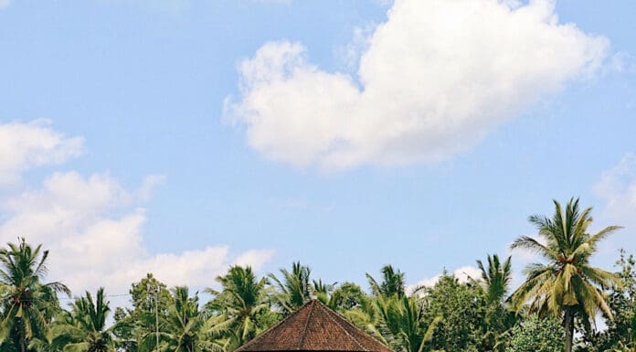 Bali Cosa Fare, Vedere e Mangiare ad Ubud e Seminyak in Quattro Giorni Bali cosa vedere e fare ad Ubud e Seminyak