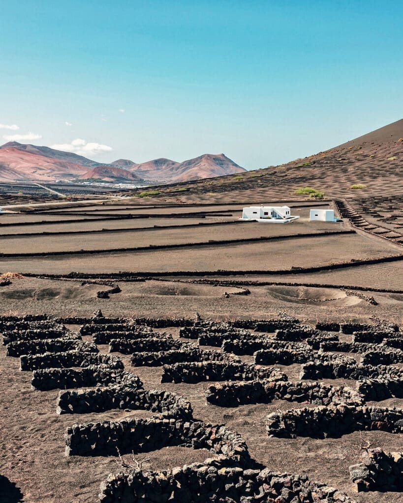 La Geria