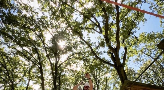 Reggio Emilia Cosa Fare in Due Giorni: Le Migliori Attività all’Aperto Reggio Emilia Cosa Fare in 2 giorni tutte le attività all'aperto