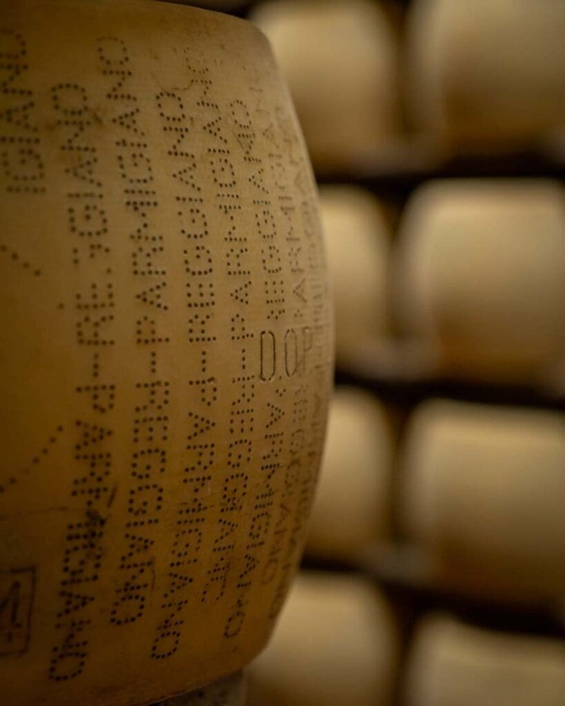Visita Caseificio Parmiggiano Reggiano DOP